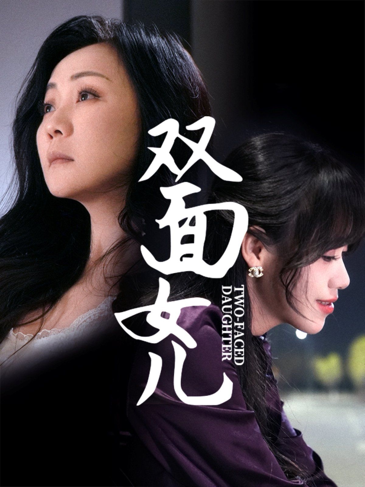 双面女儿海报